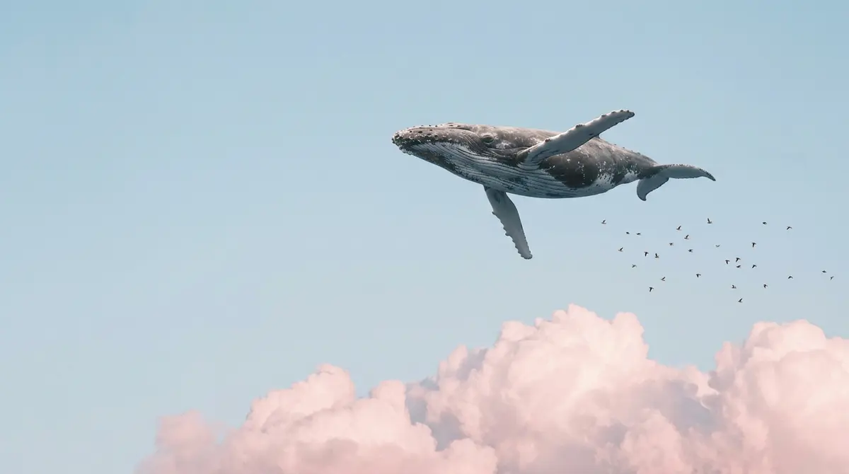 Napping between two clouds while the whales go past below.